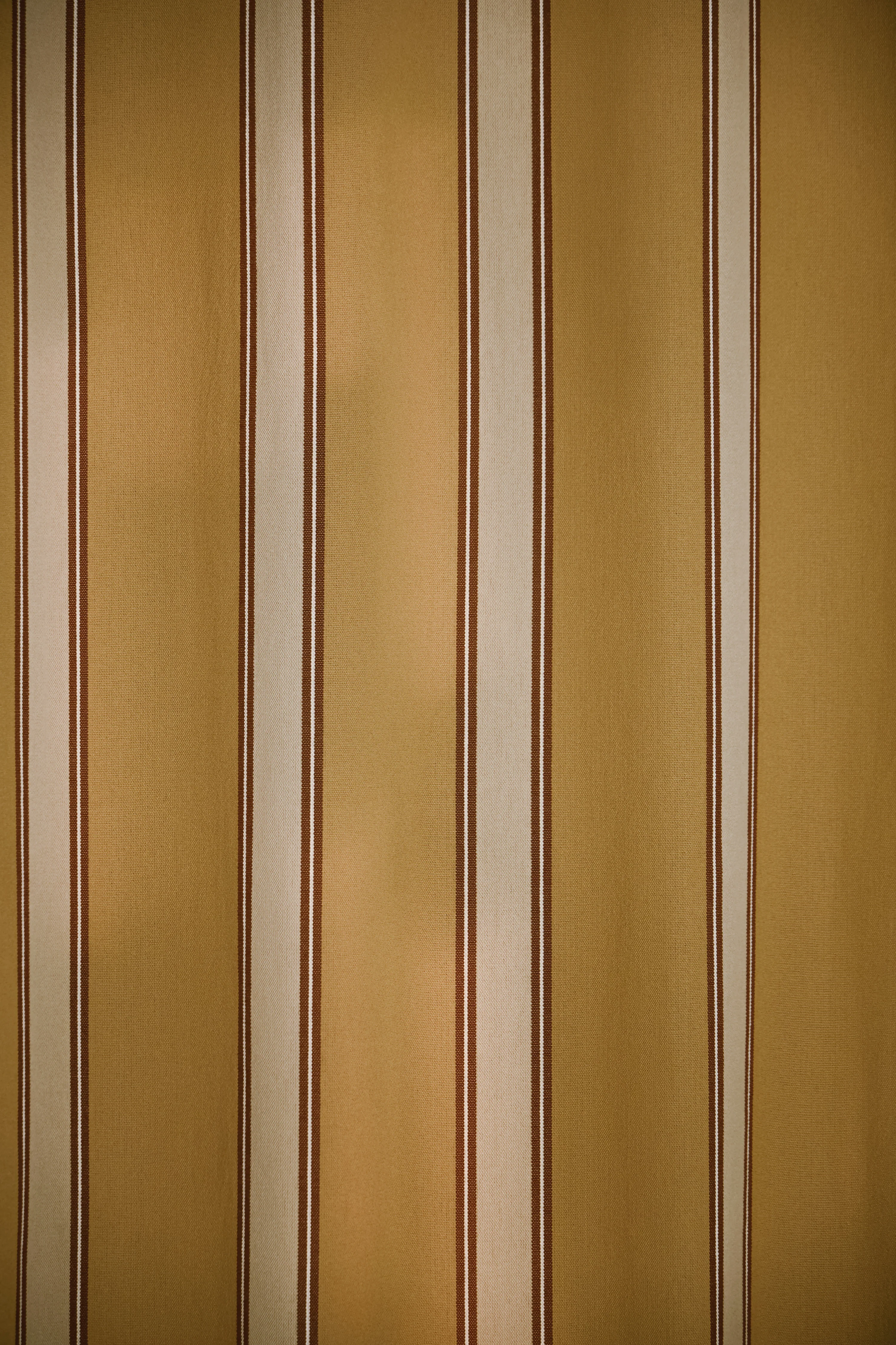 Jaipur Stripe - Walnut/Ivory - Image 3
