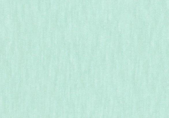 Slub Velvet - Mint